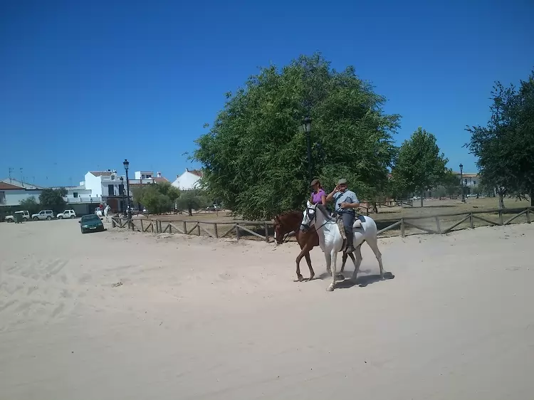Heste i gaderne i den hvide andalusiske landsby El Rocio, lige ved Doñana-nationalparken Heste i gaderne i den hvide andalusiske landsby El Rocio, lige ved Doñana-nationalparken