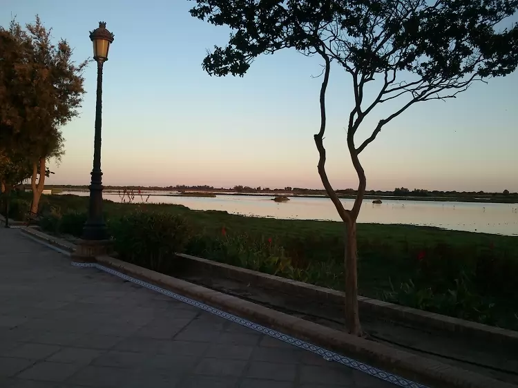 Udsigt over vådområderne i Doñana fra promenaden i den hvide andalusiske landsby El Rocio Udsigt over vådområderne i Doñana fra promenaden i den hvide andalusiske landsby El Rocio