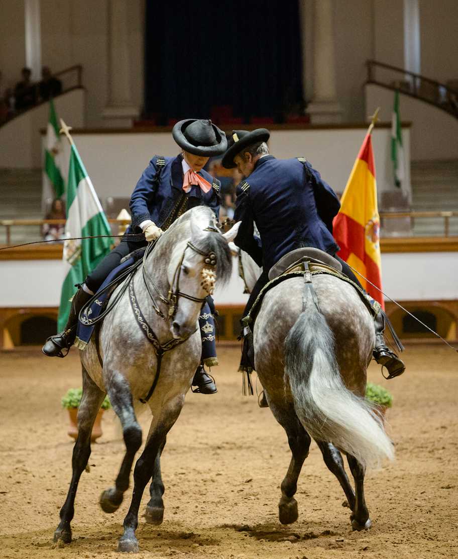 Den Kongelige Andalusiske Rideskole, Jerez de la Frontera